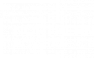 Northern Box Bar Logo